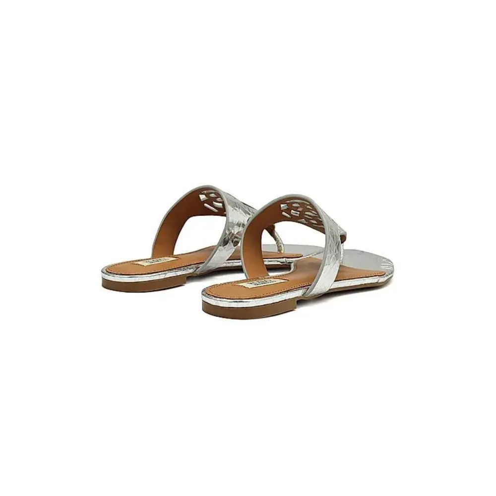 Silver Snake Textured Logo Sliders