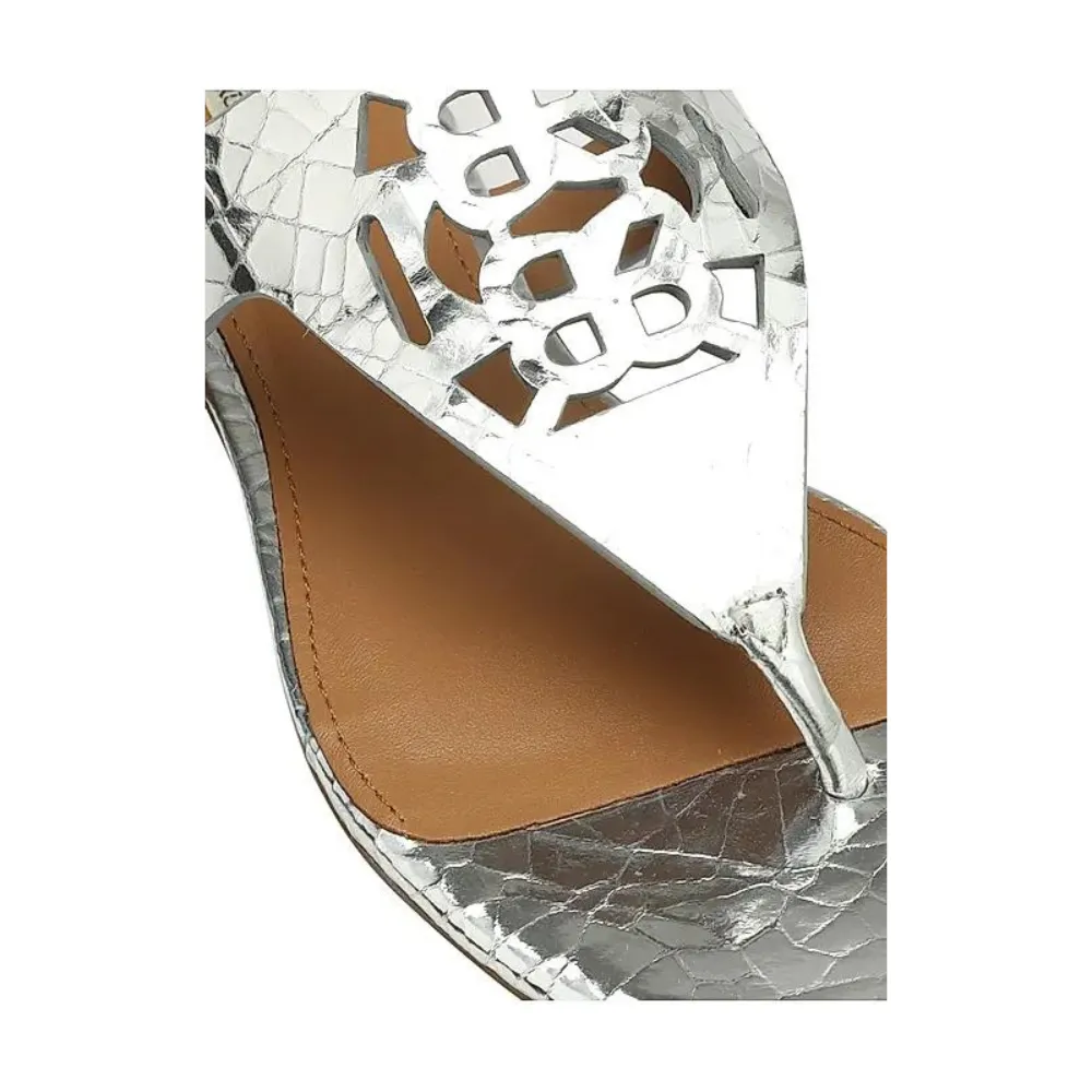 Silver Snake Textured Logo Sliders